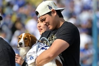 発見された大谷愛犬が「尊すぎる」　キャンプでお友達と…同僚の婚約者が明かした関係