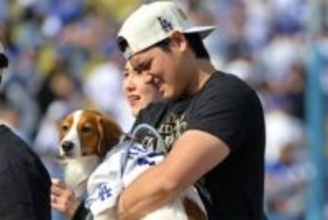 発見された大谷愛犬が「尊すぎる」　キャンプでお友達と…同僚の婚約者が明かした関係