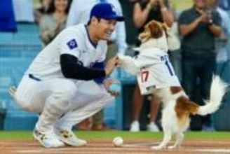 LAに出現した巨大な大谷とデコピン　米紙注目、近づく“別れも”…「深い絆が永遠に」