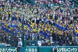 「悪質化する甲子園のチア盗撮問題　撮影方法の複雑化、生成AIの登場…悩む引率教員たち」の画像1