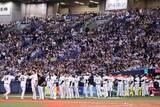 「外国人観光客が急増中　京セラドームでナイター観戦が「夜の観光」の定番になる理由」の画像1