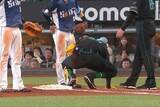 「日本ハムにアクシデント…水谷瞬に送球直撃　一ゴロもバックホームが腕付近に、球場騒然」の画像1