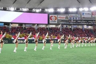日台チアが“夢の共演”、熱狂に包まれた東京ドーム　飛び交った3言語…緊張吹き飛ばした光景