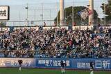 「プロ野球中継で騒然…スタンドにいた“美女”の正体　本人も驚く大バズり「さすが」」の画像1