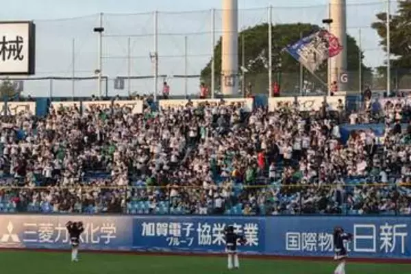 プロ野球中継で騒然…スタンドにいた“美女”の正体　本人も驚く大バズり「さすが」