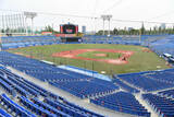 「ヤクルト本拠地が“激変”「美しいなぁ」　消えた芝生…ネットうっとり「まっさらで綺麗」」の画像1