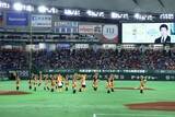 「嵐、活動終了から2日…東京Dの巨人戦で異例のサプライズ　人気楽曲メドレーに感動」の画像1