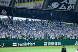 「西武の“大抜擢”に「え、まじか!?」　平日午後2時…届いた報せにファン興奮「豪華すぎる」」の画像1