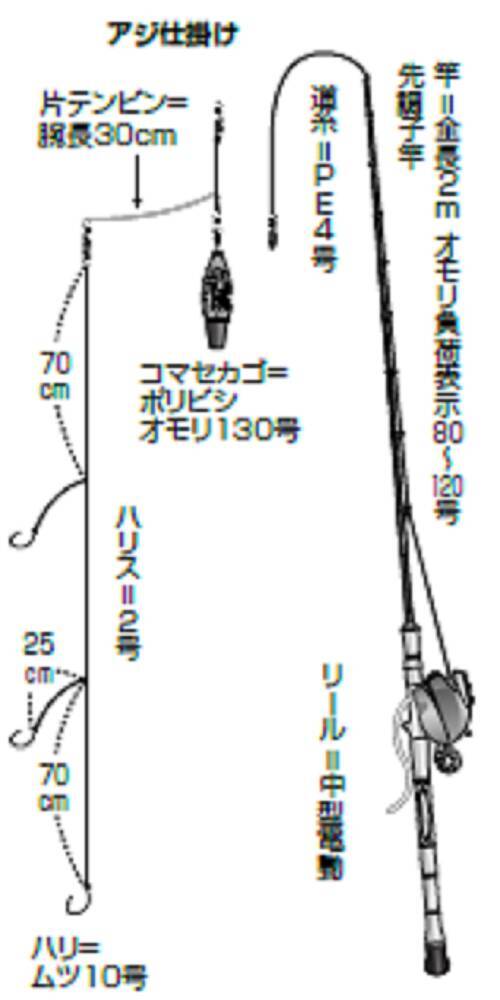 熱販売 シマノ SHIMANO 電動リール 19 プレイズ 600 タチウオテンヤ マルイカ コマセマダイ テンビンタチウオ ヒラメ アカムツ  fucoa.cl