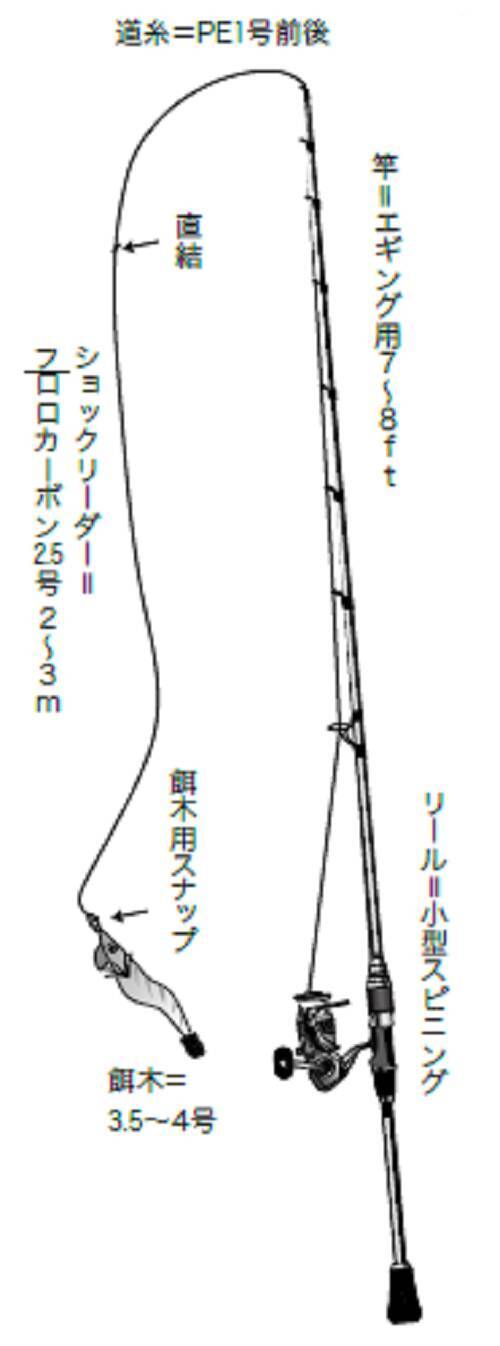 アオリイカ 船 ボートで乗っ込みの大アオリ 22年4月11日 エキサイトニュース 6 6