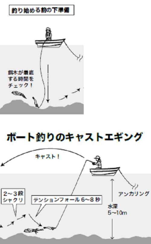 アオリイカ 船 ボートで乗っ込みの大アオリ 22年4月11日 エキサイトニュース 6 6