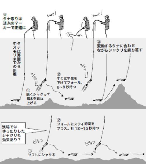 アオリイカ 船 ボートで乗っ込みの大アオリ 22年4月11日 エキサイトニュース 3 6