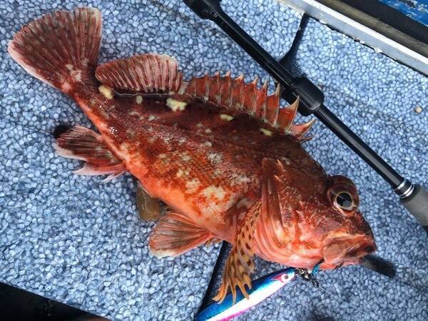 逆転の発想でカサゴ爆釣 普段の仕掛けをこうするだけで面白いほど釣れる 22年3月13日 エキサイトニュース 逆転の発想でカサゴ爆釣 普段の仕掛けをこうするだけで面白いほど釣れる 22年3月13日 エキサイトニュース