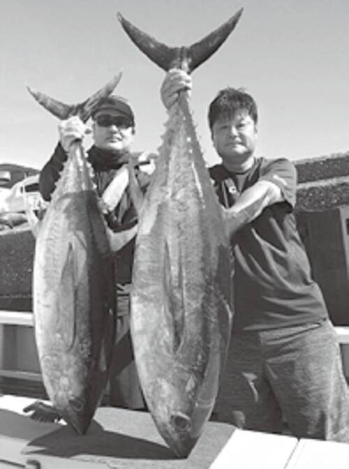 開幕 キハダ カツオ 後編 激釣続くフカセ 一本釣り 22年7月25日 エキサイトニュース 5 5 開幕 キハダ カツオ 後編 激釣続くフカセ 一本釣り 22年7月25日 エキサイトニュース 5 5