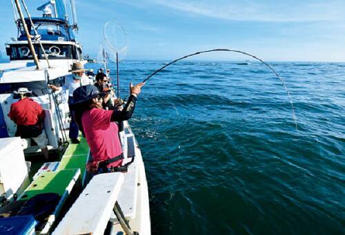 動画で見る沖釣り教室 忍塾the ムービー 第15回 銚子外川沖のヒラメ 22年8月19日 エキサイトニュース 動画で見る沖釣り教室 忍塾the ムービー 第15回 銚子外川沖のヒラメ 22年8月19日 エキサイトニュース