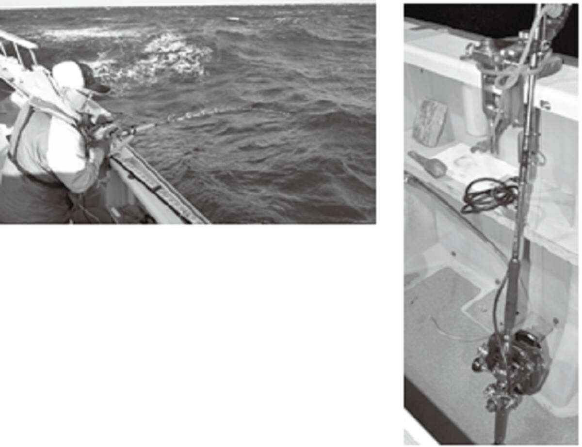 一度は釣りたい深場の憧れアコウ 22年2月23日 エキサイトニュース