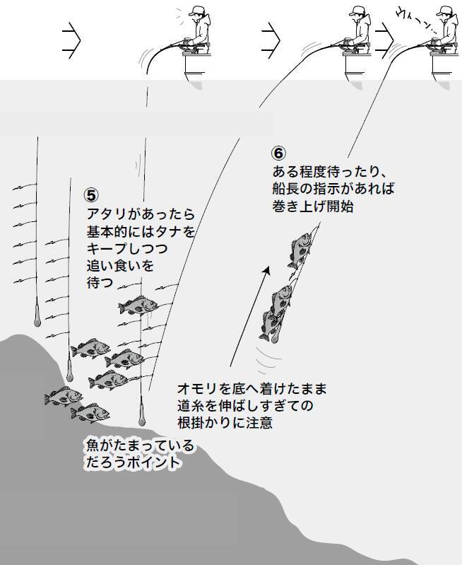 一度は釣りたい深場の憧れアコウ 22年2月23日 エキサイトニュース 3 3