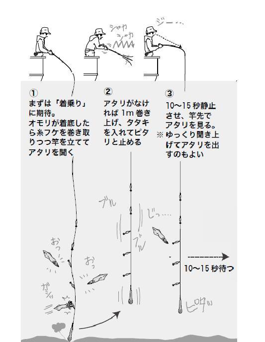 がんばらない派 当たり年ならユルくても釣れる ゼロテンじゃないマルイカ 22年6月22日 エキサイトニュース 2 4