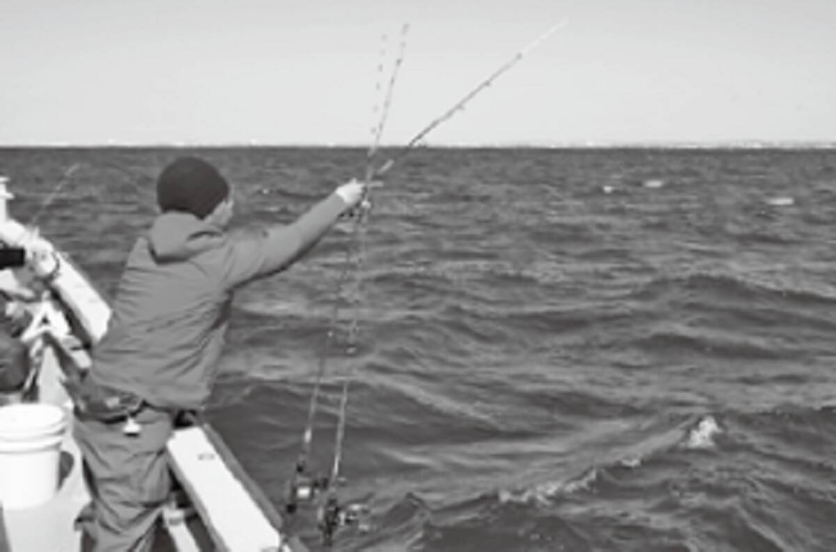 東京湾で初夏の魚を天ぷら種を確保 シロギス アナゴリレー 22年5月16日 エキサイトニュース