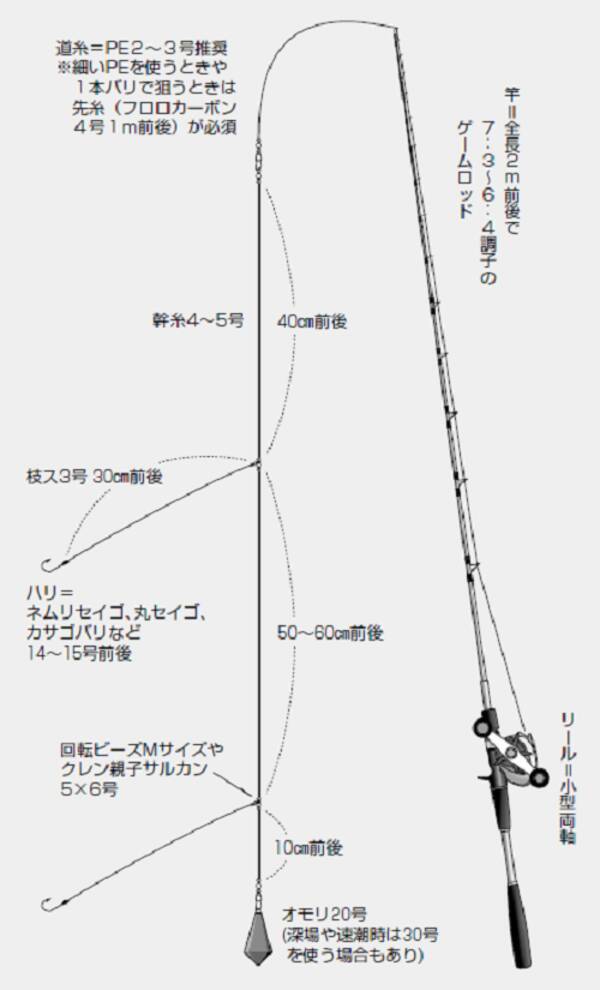 時代が変われば仕掛けも変わる 令和版 沖釣り仕掛けガイド 第8回 第1章 胴付き仕掛け ムラソイ仕掛け 22年8月19日 エキサイトニュース