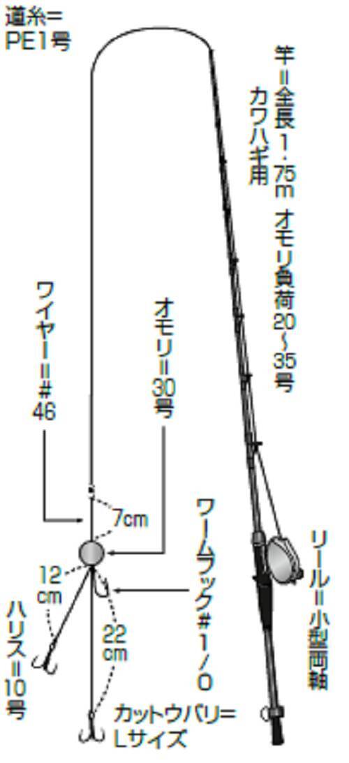 狙いは大洗の良型フグ エビエサに勝機あり 22年6月16日 エキサイトニュース