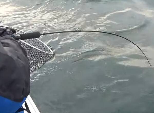 4分で分かる青物ジギングの釣り方特集 タックル選びやコツを習得しよう 22年3月16日 エキサイトニュース 4分で分かる青物ジギングの釣り方特集 タックル選びやコツを習得しよう 22年3月16日 エキサイトニュース