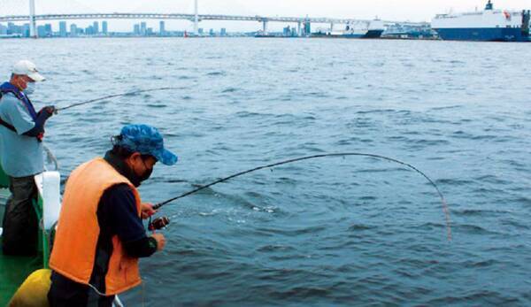 手軽にメバル カサゴの引きを満喫ベイエリア横浜の夜釣りはいかが 22年7月9日 エキサイトニュース