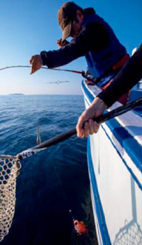 中深場用 ヨリトリリング アカムツ 釣果アップお勧めアイテム 下田漁具 Made In JAPAN フック・針