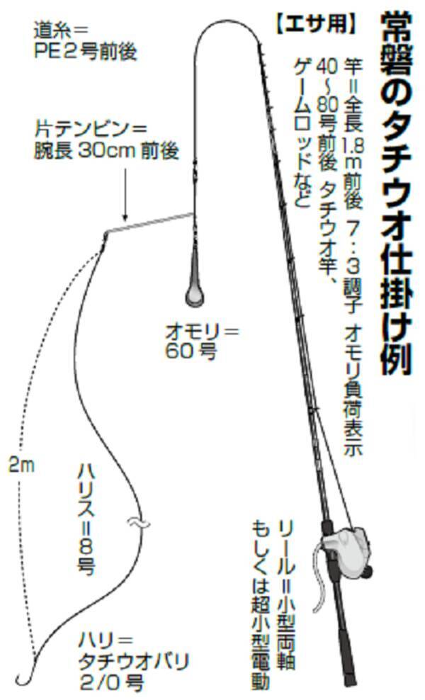 いつまで続く 常磐のタチウオ爆釣劇 22年2月15日 エキサイトニュース