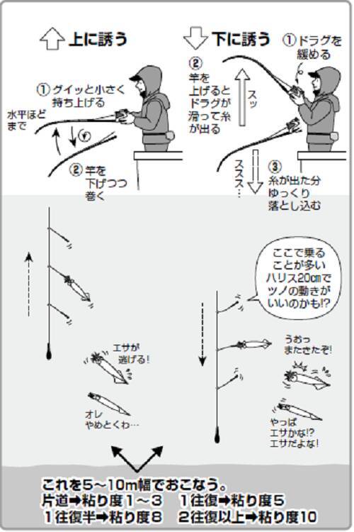 ヤリイカの達人はなぜたくさん釣れるのか 22年3月10日 エキサイトニュース 5 5