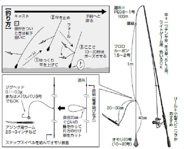 東京湾奥のメバル カサゴ みんなで楽しむ春告魚開幕 22年2月14日 エキサイトニュース