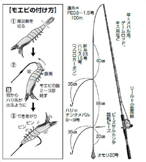 東京湾奥のメバル カサゴ みんなで楽しむ春告魚開幕 22年2月14日 エキサイトニュース