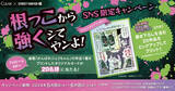 「「クリア」×「ストリートファイター」第3弾決定！ジュリちゃんの特別パッケージが5月13日に発売」の画像4