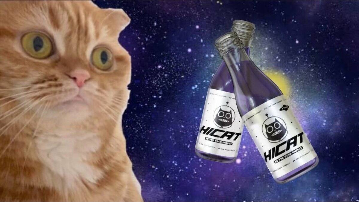 猫がアガるなら人もアガる？新世代のまたたび配合エナジードリンク「HICAT Hi-ENERGY」登場！
