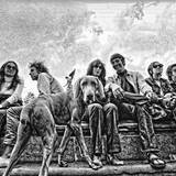 「「時代に挑んだ男」加納典明（71）人間としての高市早苗氏を見切り、測り、判断することが大事だと思う【増田俊也 口述クロニクル】」の画像1