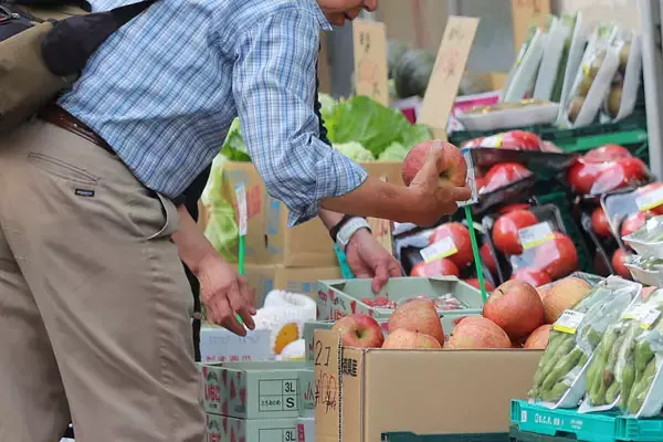 予備費は枯渇、夏の値上げラッシュも確実なのに…それでも高市首相が補正予算編成をゴネる理由
