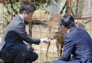 吉村大阪府知事はヒマなのか？ 見るに堪えない「シカやん」命名式でのパフォーマンス