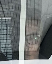 「鬼教官」には意見できず？ 期待の星だった「XG」と共に薬物逮捕されたavex社員の失敗