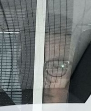 「鬼教官」には意見できず？ 期待の星だった「XG」と共に薬物逮捕されたavex社員の失敗