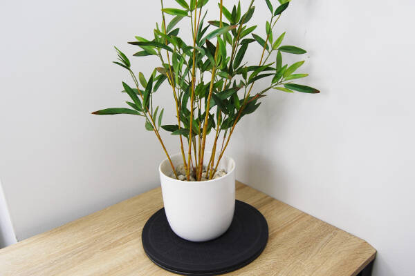 クルクル回るのに安定感バツグン 観葉植物やパソコンがラクに動かせる100均アイテム 回転テーブル 18年8月2日 エキサイトニュース