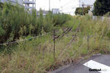 「横浜の湾岸を走る貨物線「JR高島線」の“花形路線時代”の面影をたどる旅」の画像6