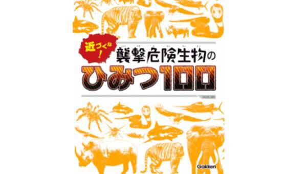 世界一こわいもの知らずの動物 って知ってる 近づくな 襲撃危険生物のひみつ100 18年10月16日 エキサイトニュース