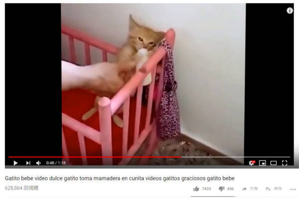 人間の赤ちゃんみたい ミルクを飲んだ瞬間に大人しくなってしまう子猫が話題に 可愛すぎる動物動画 18年11月14日 エキサイトニュース