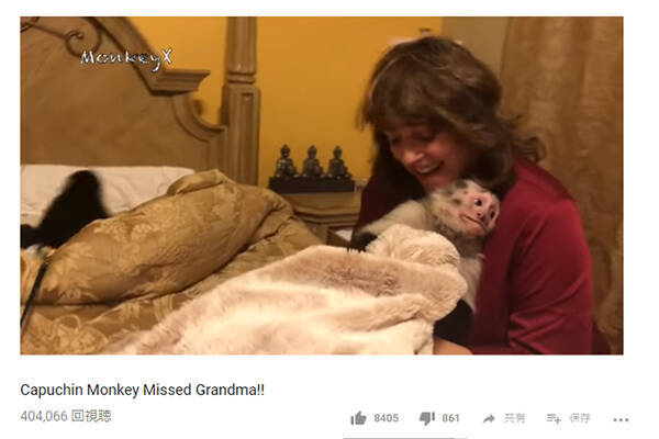 可愛すぎる動物動画 甘え顔で体をスリスリ 飼い主の女性と甘え上手なサルの愛情に涙 18年11月28日 エキサイトニュース