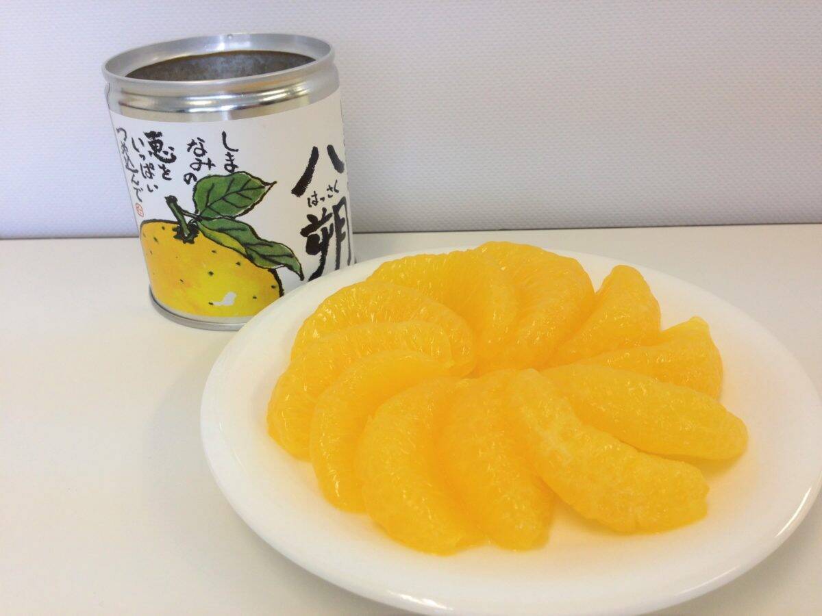 愛媛のご当地グルメ3選――「柑橘類日本一！」の愛媛が誇る昔なつかしのご当地グルメとは!?