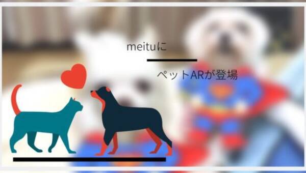 ペットも顔認証してかわいく盛れちゃうアプリ Meitu で ペットar を遊ぼう 19年2月3日 エキサイトニュース