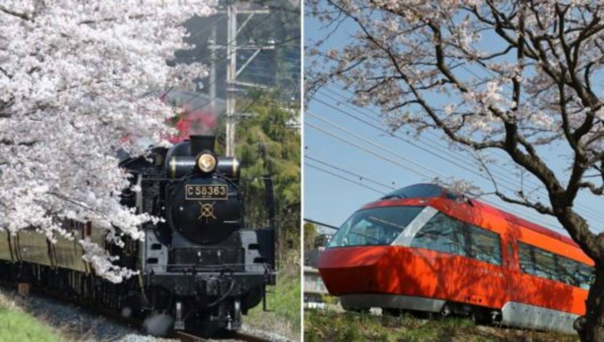 2019年版】全国津々浦々を巡った鉄道ライターが薦める「桜と鉄道」撮影  