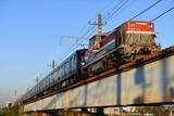 「相鉄の長年の悲願だった都心乗り入れ―― この秋、東京でハマの「ネイビーブルー電車」に乗車できる！」の画像7