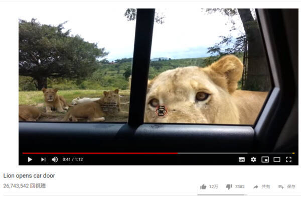 最新ライオン 百獣の王 由来 すべての動物画像