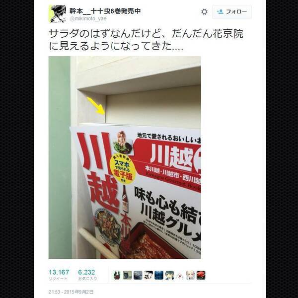 サラダのはずなんだけど だんだん花京院に見えるようになってきた 漫画家のツイートが話題に 15年9月4日 エキサイトニュース